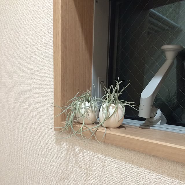 XYLITOLさんの実例写真