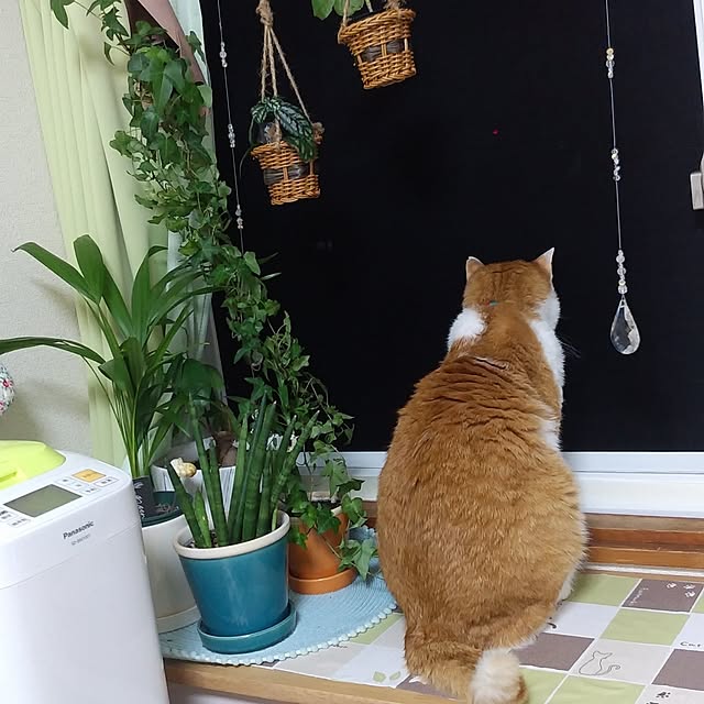 yumiさんの実例写真