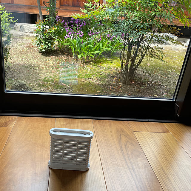 ichigoさんの実例写真