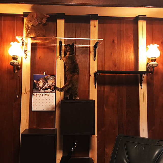 fukuebiさんの実例写真