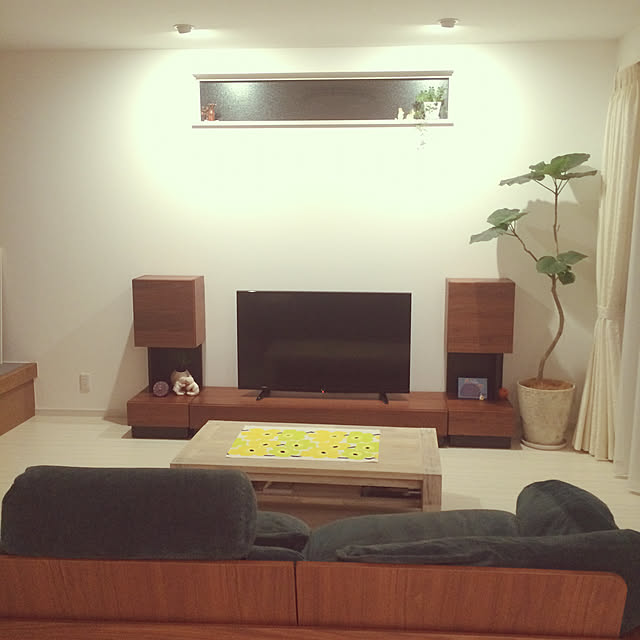 funapiiさんの実例写真