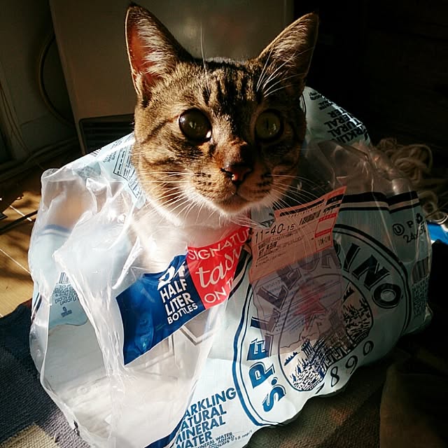 Lukiさんの実例写真