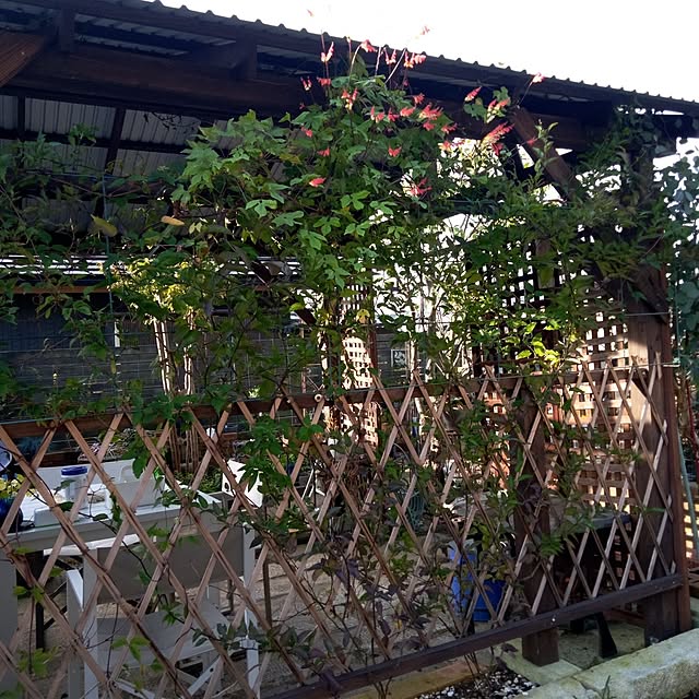 hirococoさんの実例写真