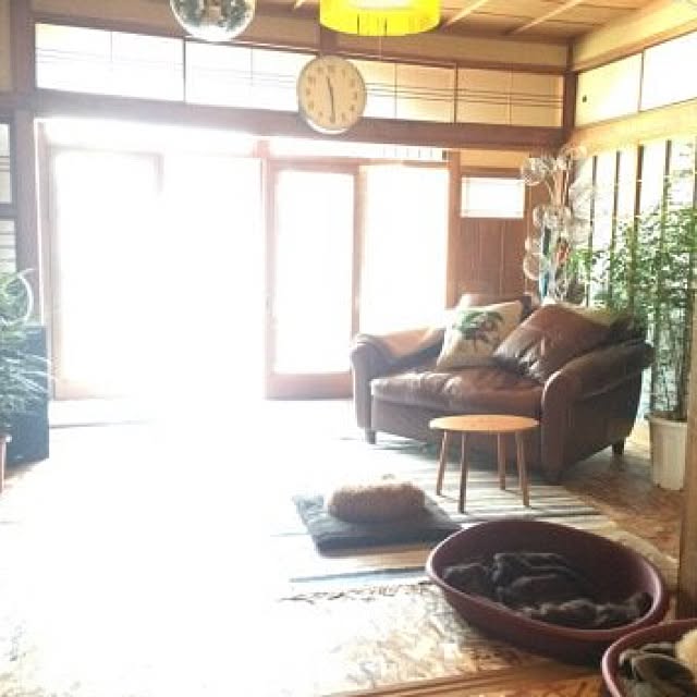 tomo-ko3さんの実例写真