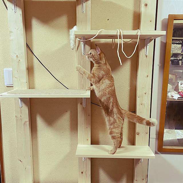 kinakomugiさんの実例写真