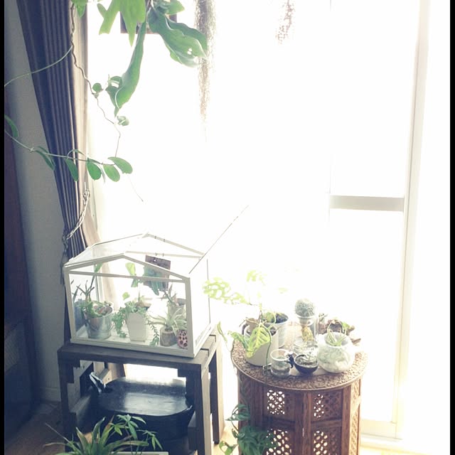 shangmei7033さんの実例写真