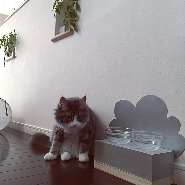 emさんの実例写真