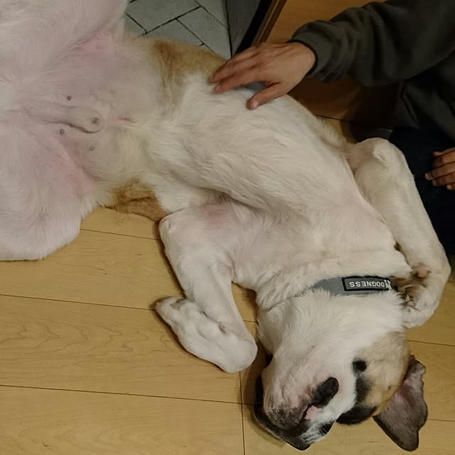 yuriさんの実例写真