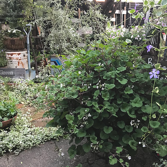bibianさんの実例写真