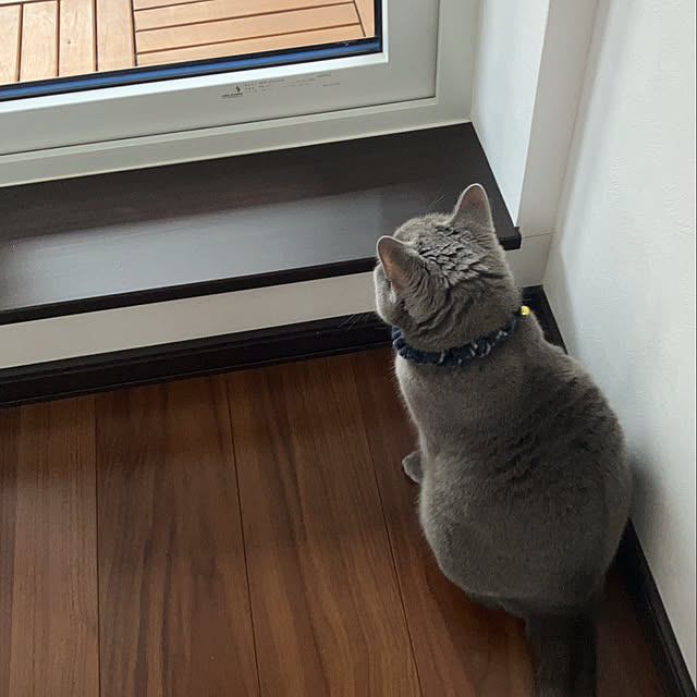 ronさんの実例写真