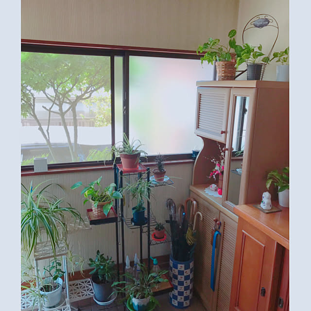 portulacaさんの実例写真