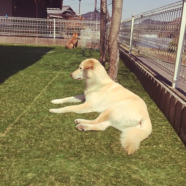 mtkさんの実例写真
