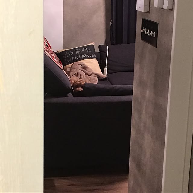 coco0122さんの実例写真