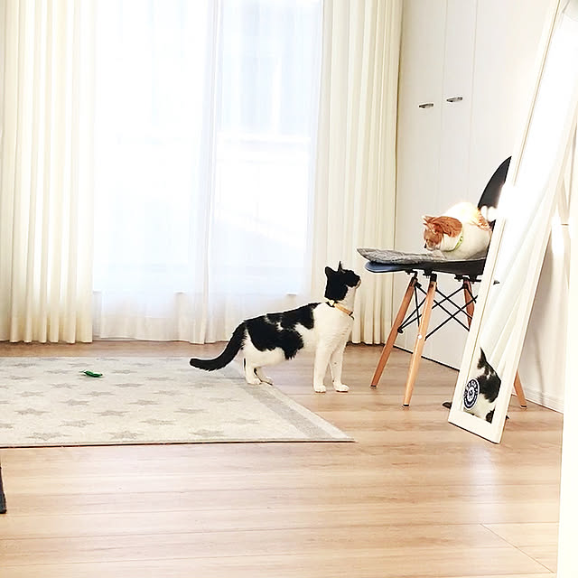 Yさんの実例写真