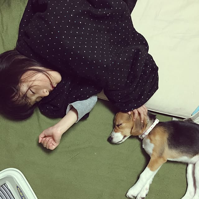 lovekuma_emilyさんの実例写真