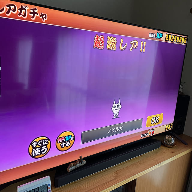 cecil..さんの実例写真