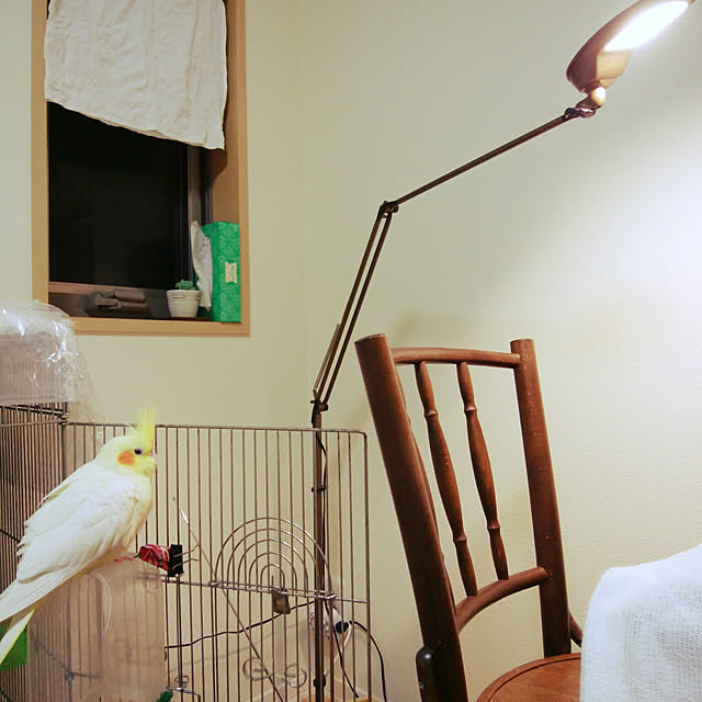 pontaさんの実例写真