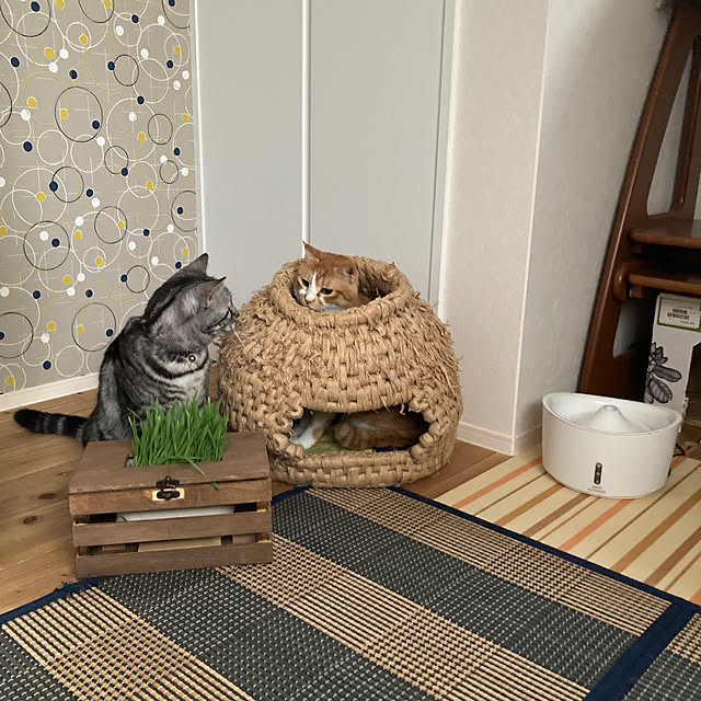 mkmkmoominさんの実例写真