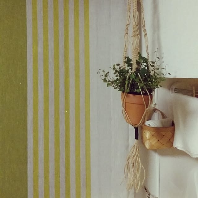 Sakiさんの実例写真