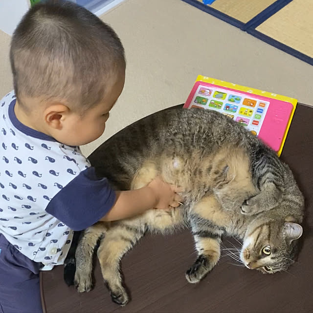 mikomaruさんの実例写真