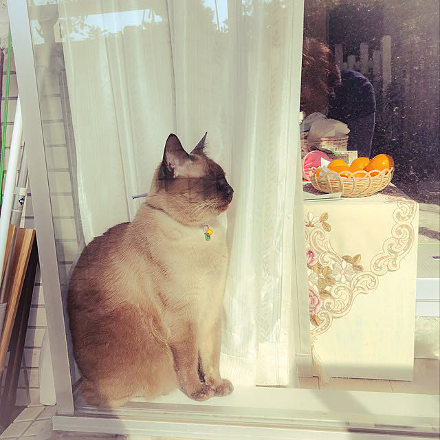 dodoさんの実例写真