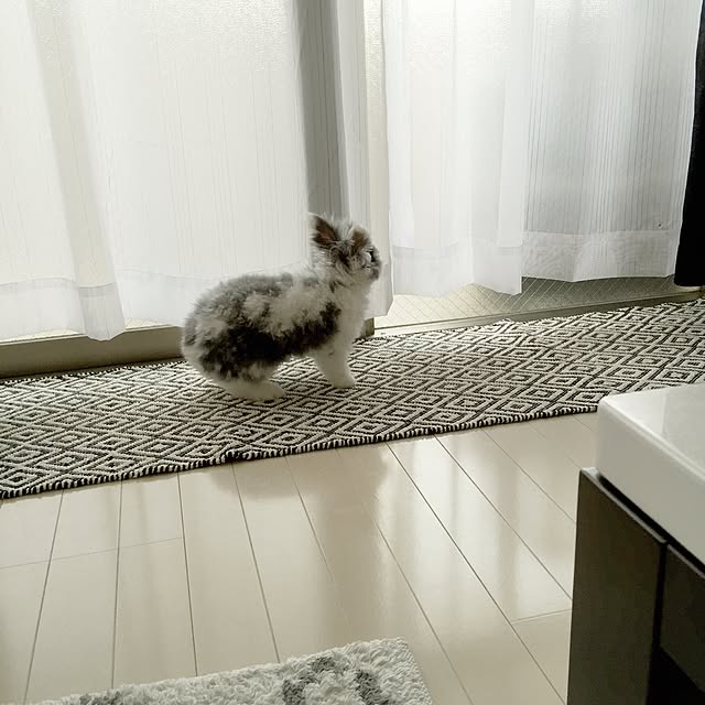 Fujicoさんの実例写真