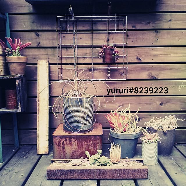 yururiさんの実例写真