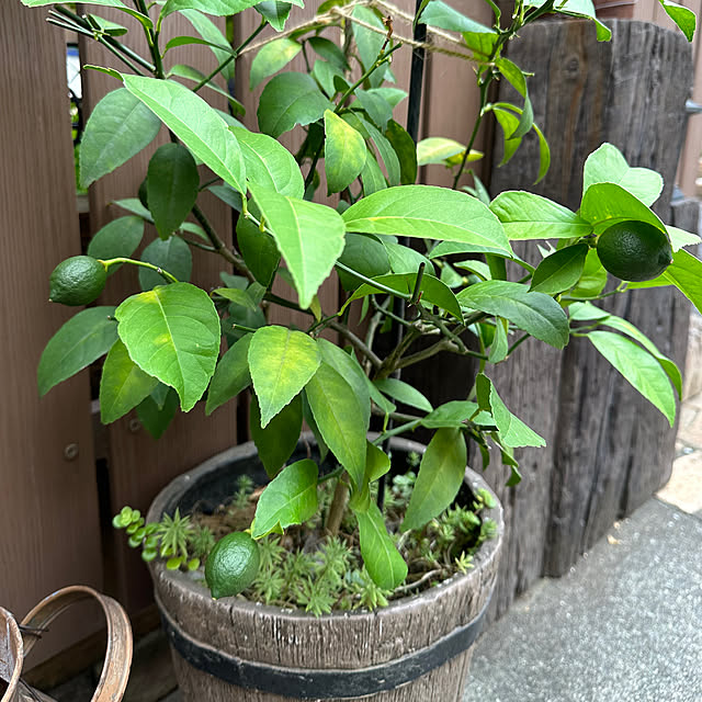 tabasaさんの部屋