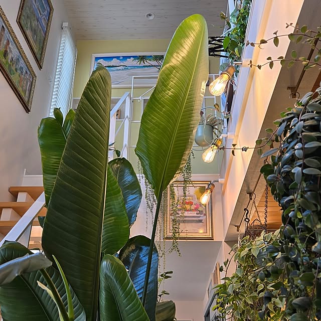 nonbiri_house_さんの部屋