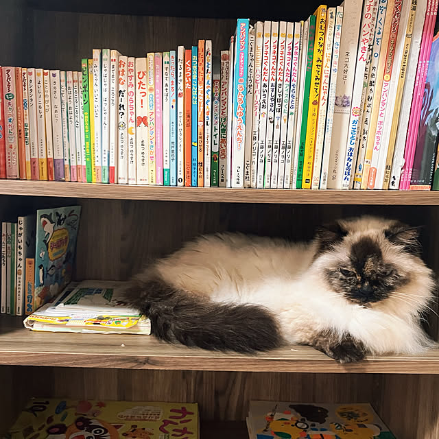 kamomeさんの実例写真
