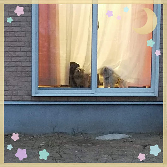 kakkoさんの実例写真