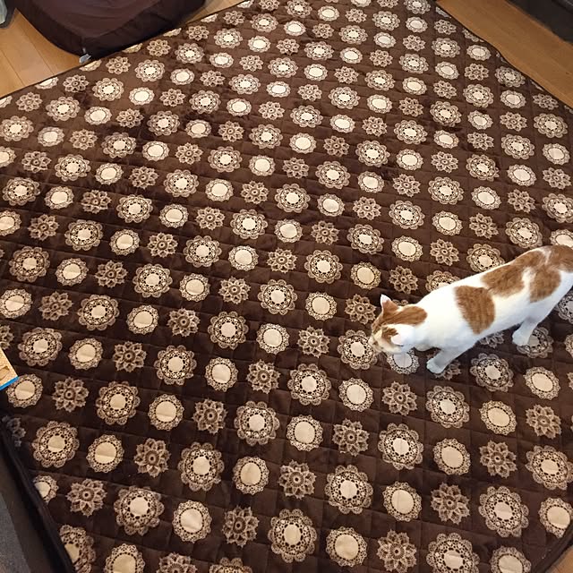 minkokoさんの実例写真