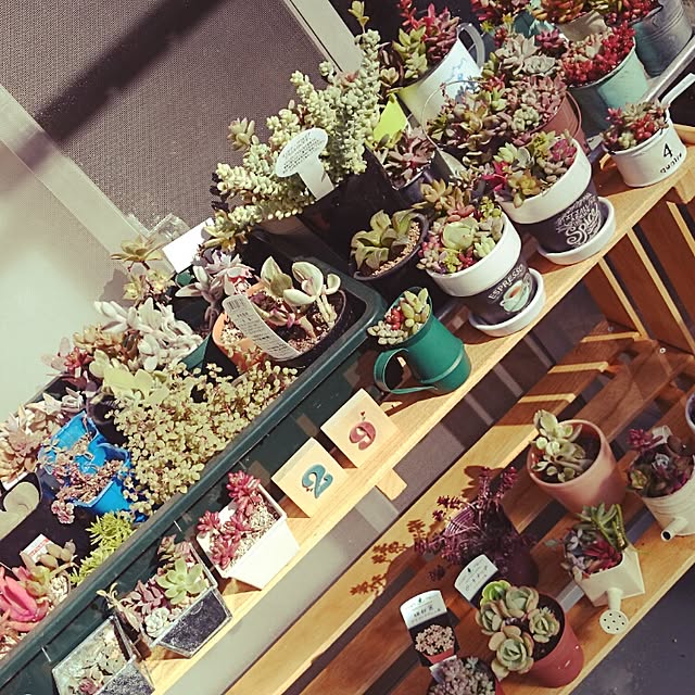 rookier05さんの実例写真