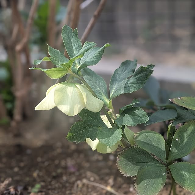 reeさんの部屋