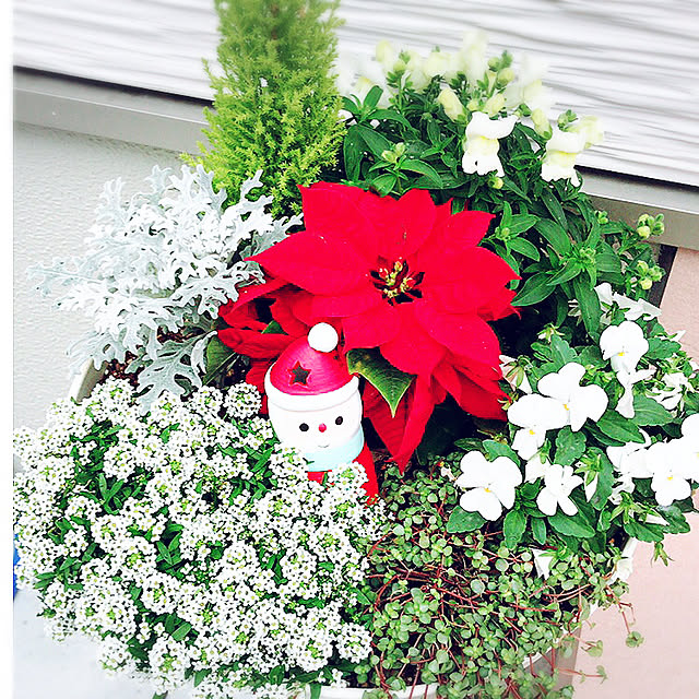 nahtaさんの実例写真
