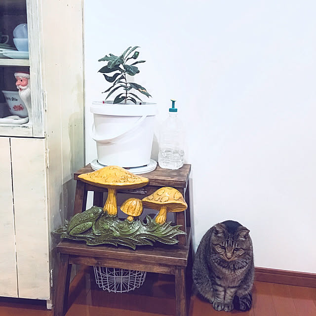 NAOMIさんの実例写真