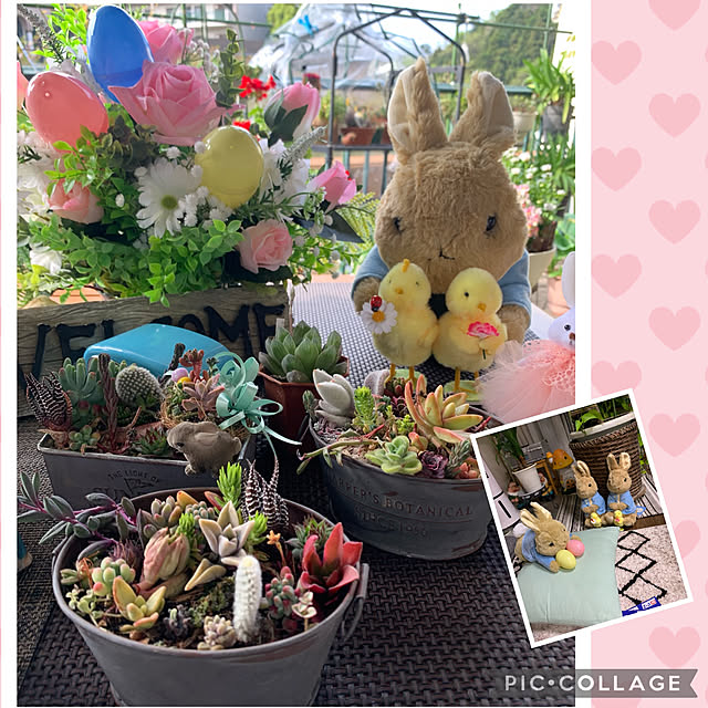 Aqettyさんの実例写真