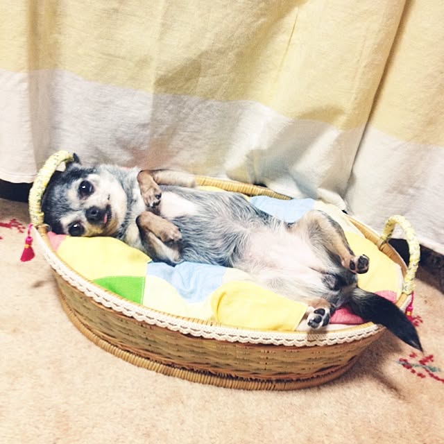 tubutanさんの実例写真