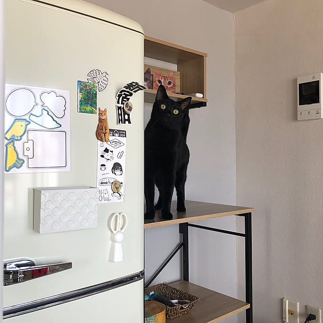 mameさんの実例写真