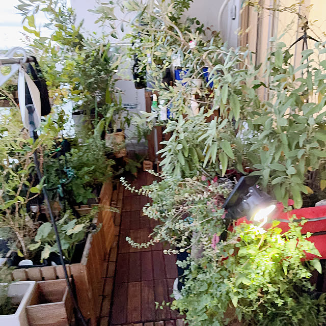 rainmanさんの実例写真