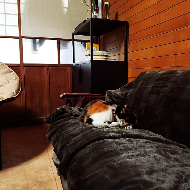 Lucyさんの部屋