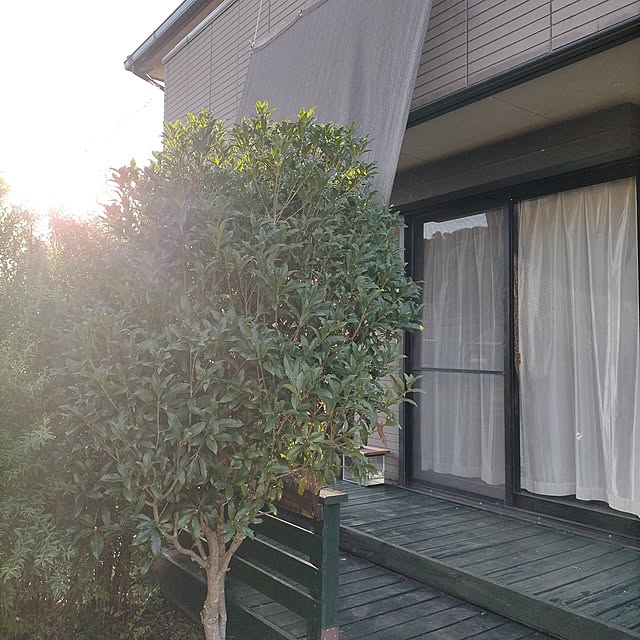 michiさんの部屋