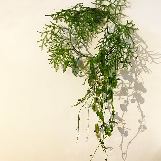 tocoriさんの実例写真