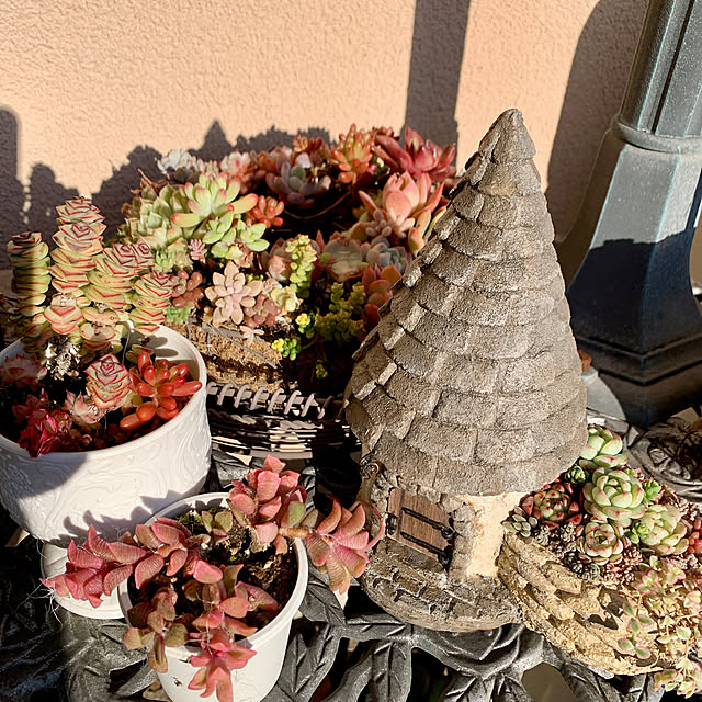 Momoさんの実例写真