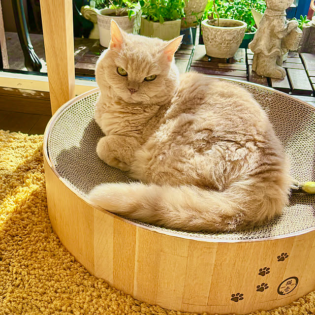 naokoさんの部屋