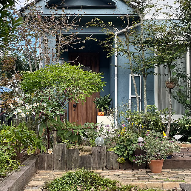 nobikoさんの部屋