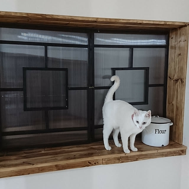 ayaさんの実例写真