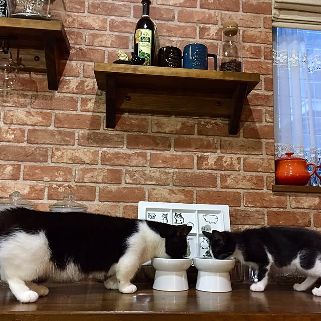 butachanさんの実例写真