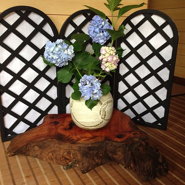 Kitaruさんの実例写真