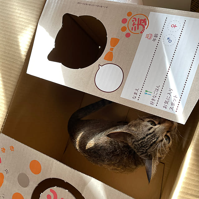 niko.mamさんの部屋